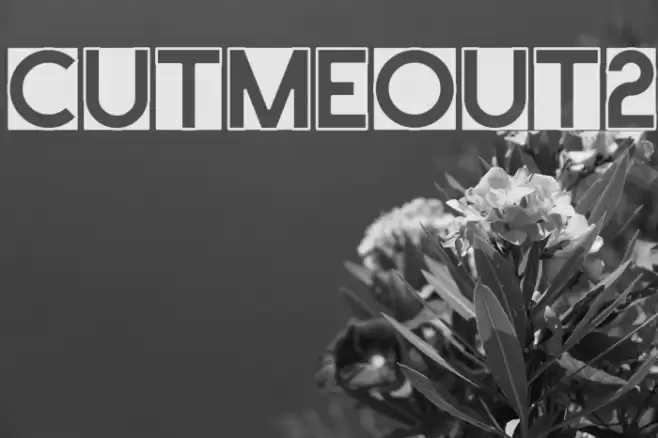 CutMeOut2 Font examples