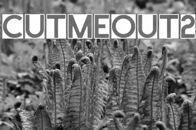 CutMeOut2 Font examples