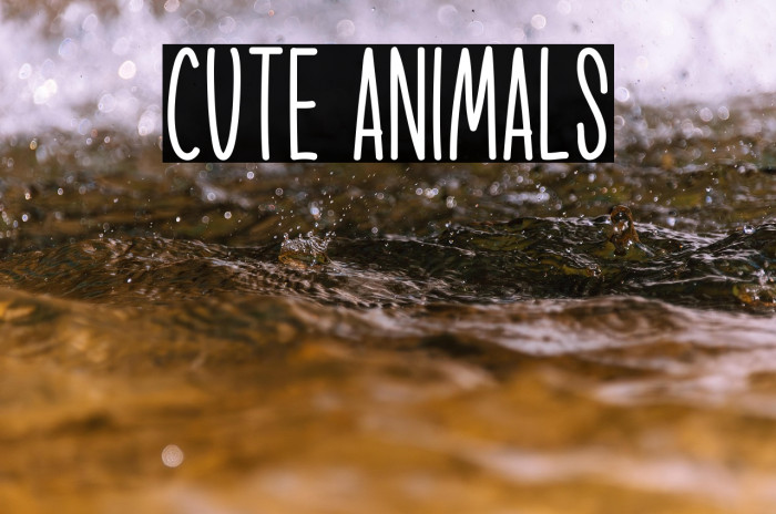 Cute Animals Example 1