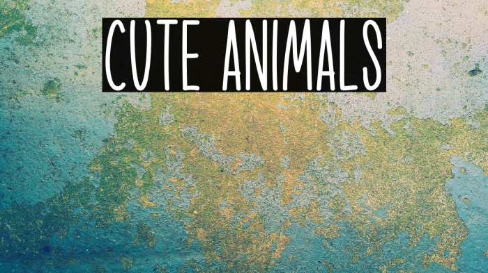 Cute Animals Example 3