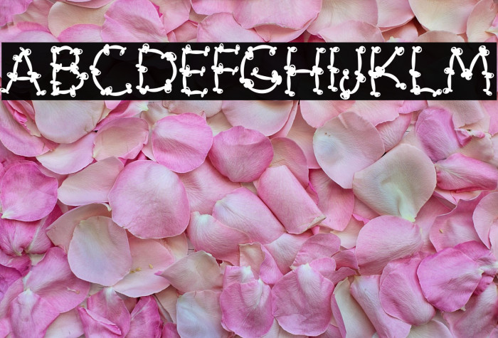 Cute Bones Example 2