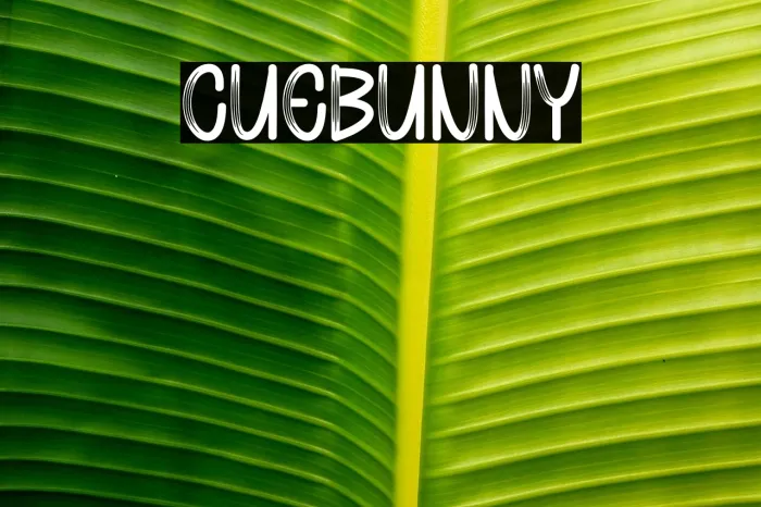 Cute Bunny Example 1