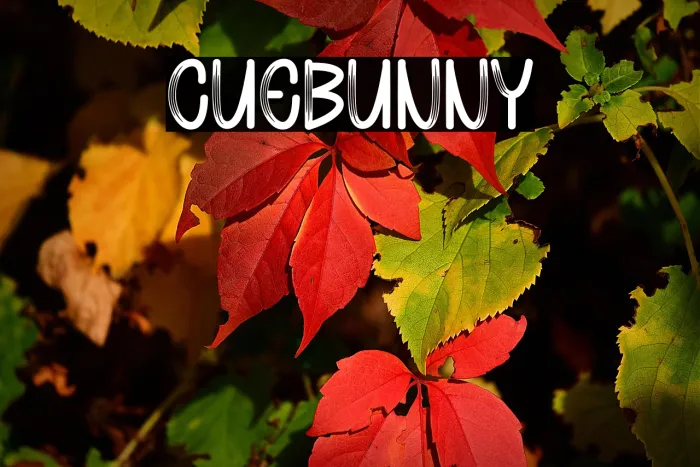 Cute Bunny Example 2