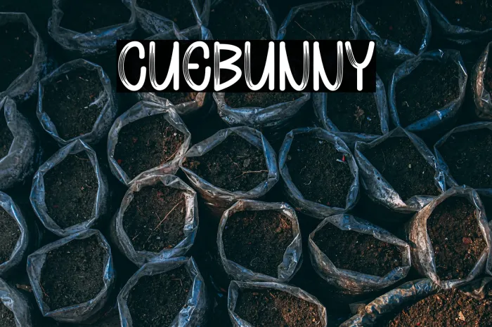 Cute Bunny Example 3