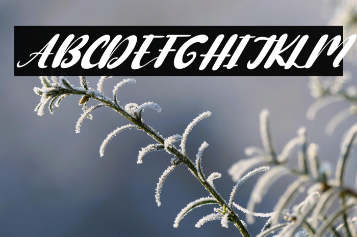 Cute Cartoon Italic Example 1