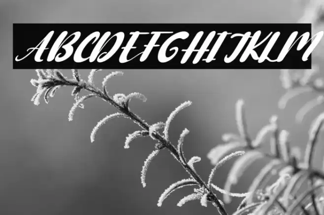 Cute Cartoon Italic Font examples