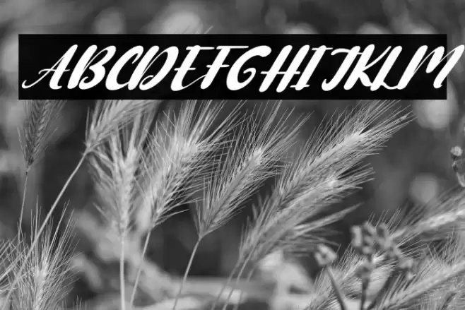 Cute Cartoon Italic Font examples