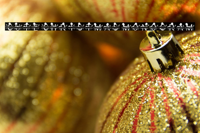 Cute Christmas Monogram Example 3