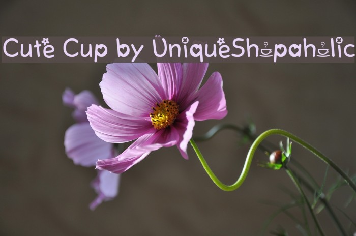 Cute Cup by UniqueShopaholic Font examples