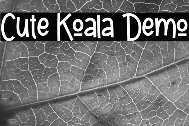 Cute Koala Demo Font examples