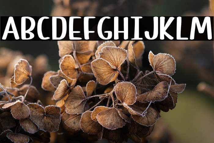 Cute Letters Example 3