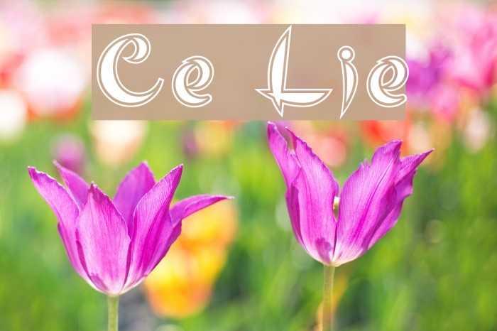 Cute Line Font examples
