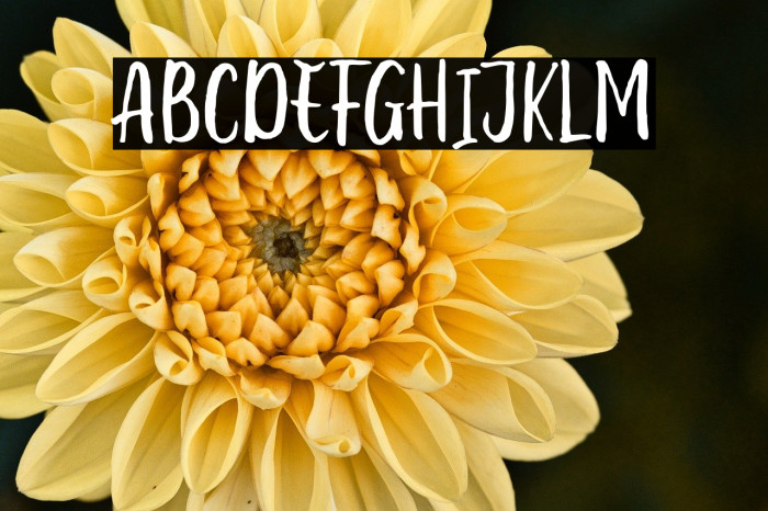 Cute Molly Example 2