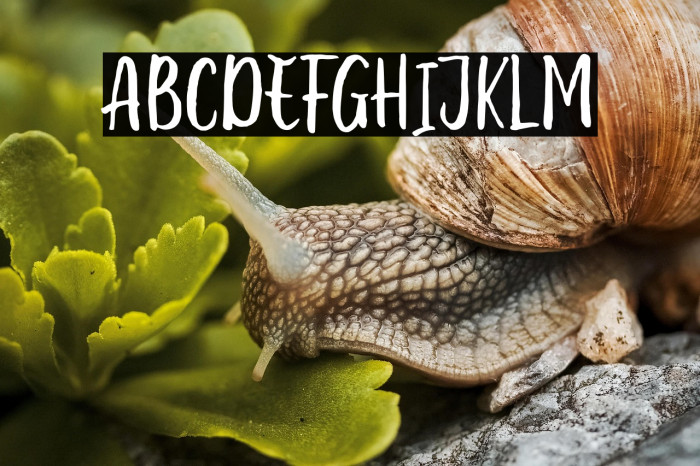 Cute Molly Example 3