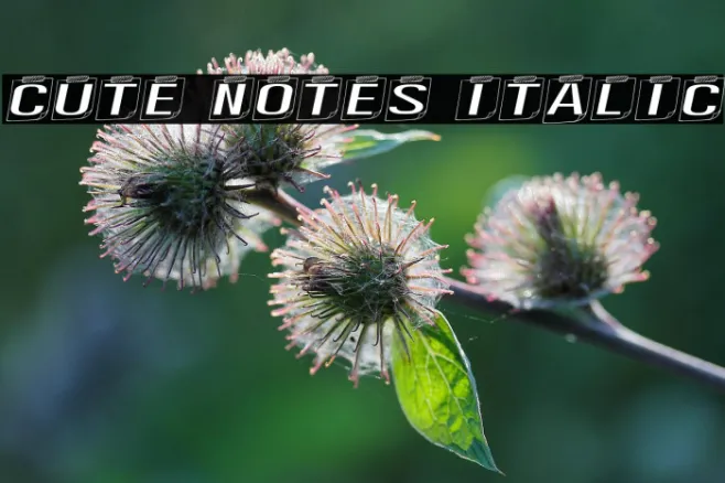 Cute Notes Italic Example 3
