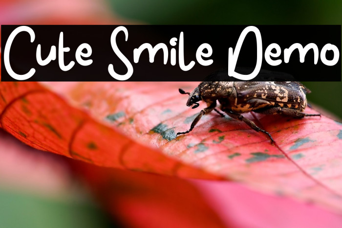 Cute Smile Demo Example 1