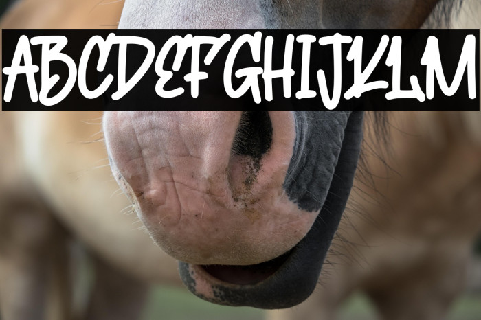 Cute Squishy Example 1