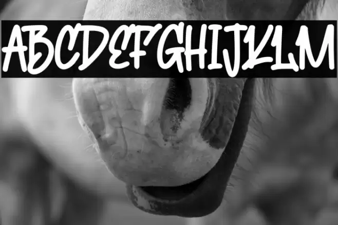 Cute Squishy Font examples