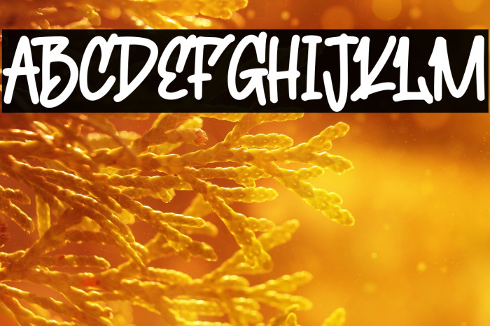 Cute Squishy Example 3