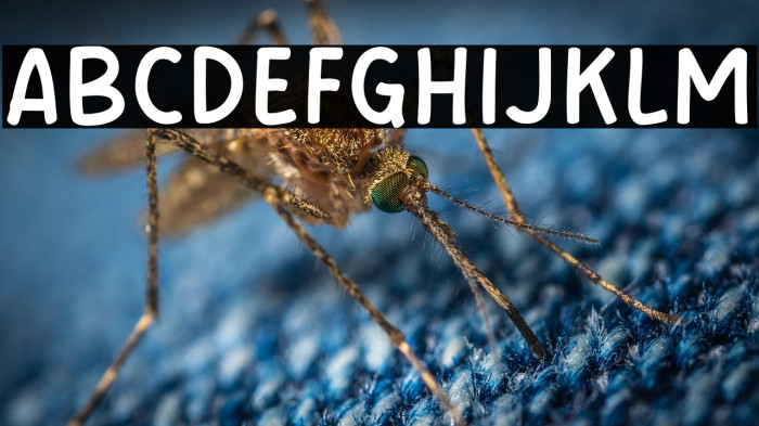 Cute Sunrise Example 2