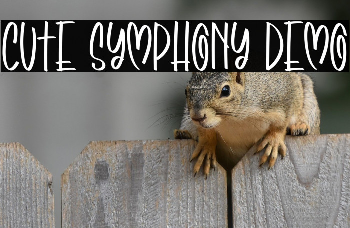 Cute Symphony Demo Example 2