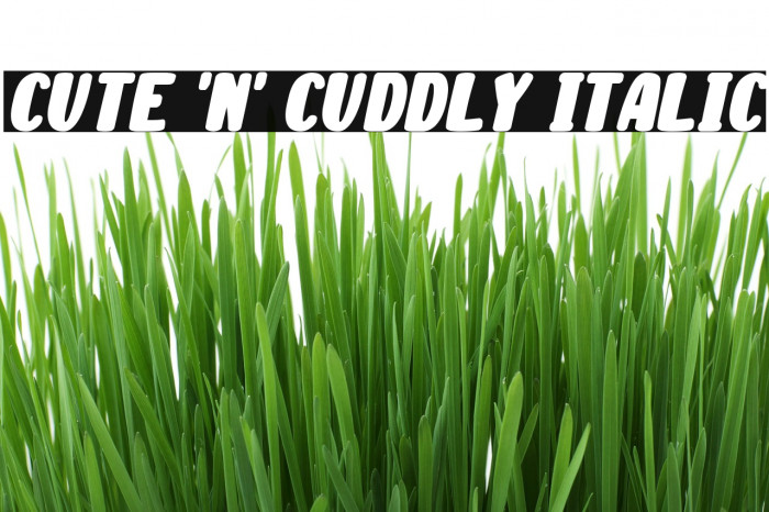 Cute 'n' Cuddly Italic Caratteri examples