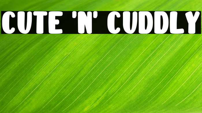 Cute 'n' Cuddly Example 1