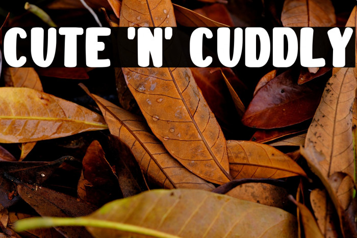 Cute 'n' Cuddly Example 2