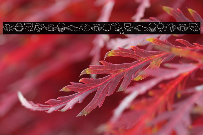 CuteAnimalsDingbat Example 1