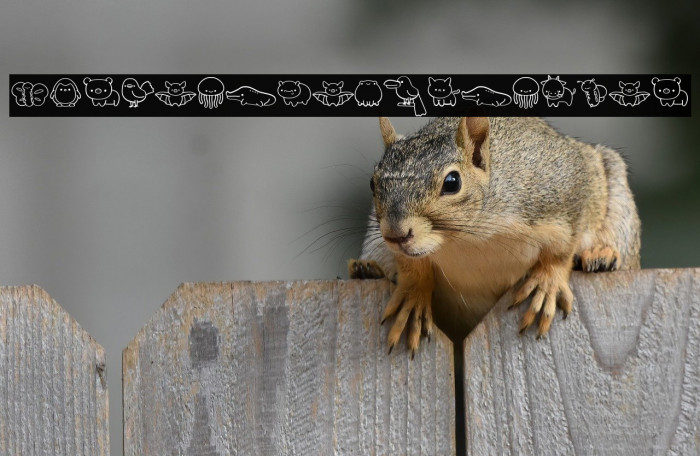 CuteAnimalsDingbat Example 3