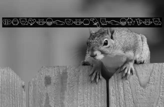 CuteAnimalsDingbat Font examples