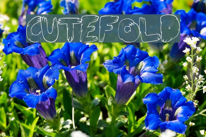 CuteFold Font examples