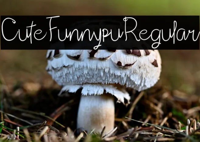 CuteFunnypuRegular Example 1