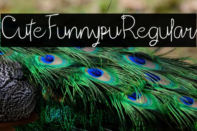 CuteFunnypuRegular Example 3