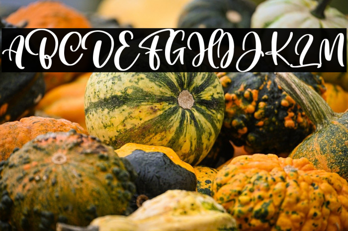 Cuteness Persimmon Example 1