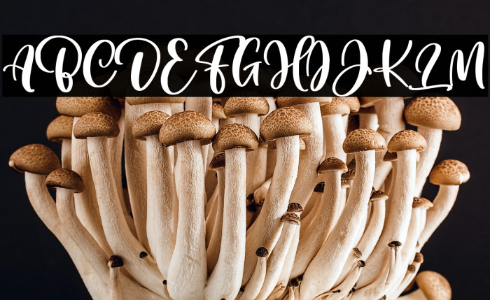 Cuteness Persimmon Example 3