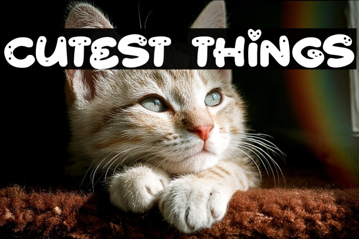 Cutest Things Example 2