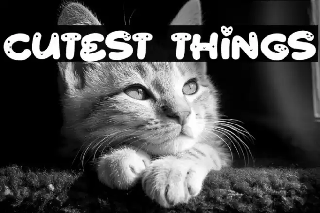 Cutest Things Font examples