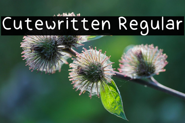 Cutewritten Regular Example 2