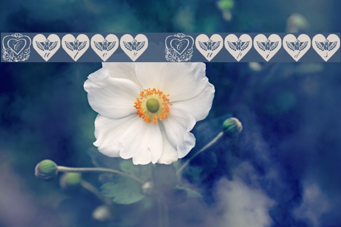 Cutey Cupids Font examples