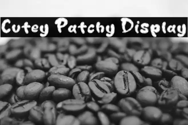 Cutey Patchy Display Font examples