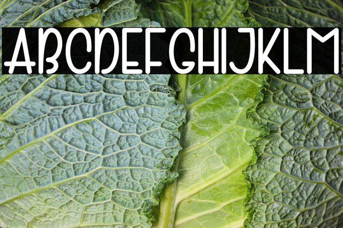 Cutie Baby Example 1