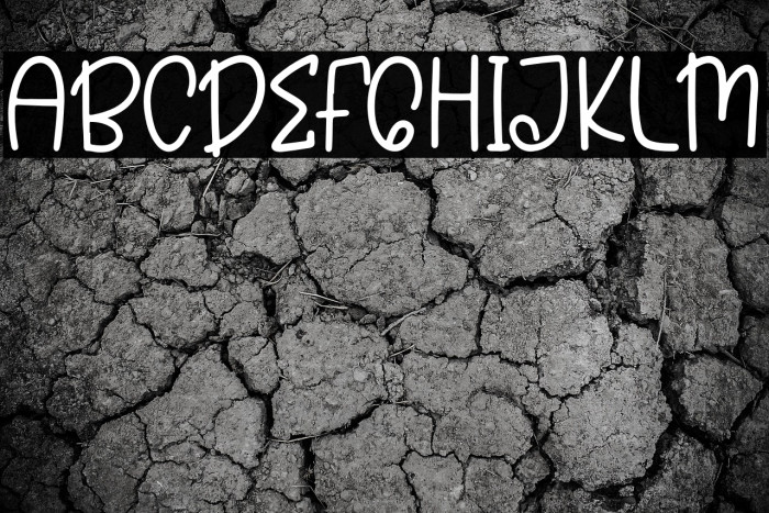 Cutie Bear Example 1