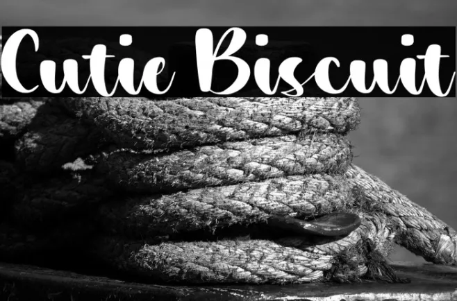 Cutie Biscuit Example 3