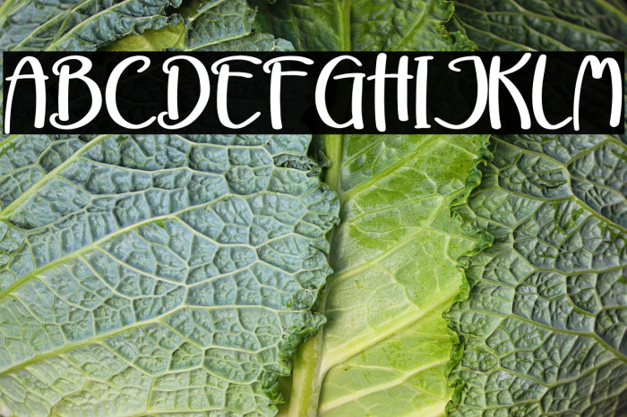 Cutie Delina Example 3