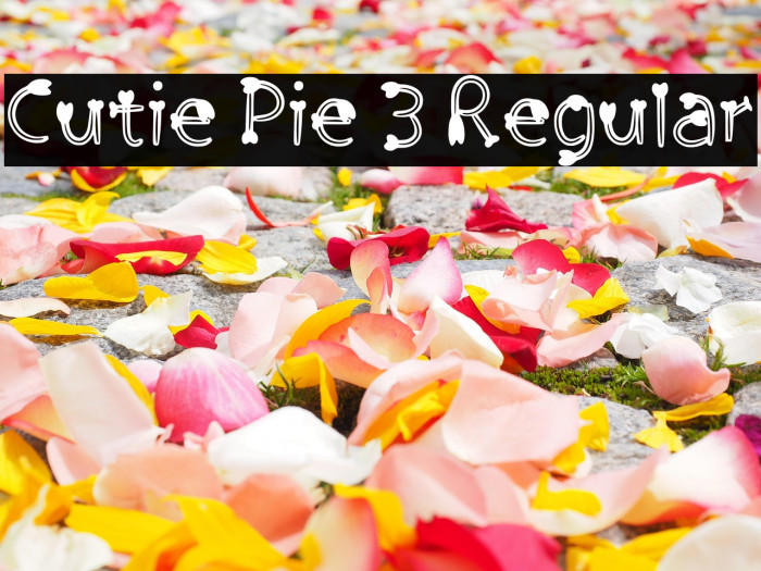 Cutie Pie 3 Regular Example 2