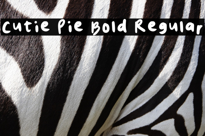 Cutie Pie Bold Regular Example 2