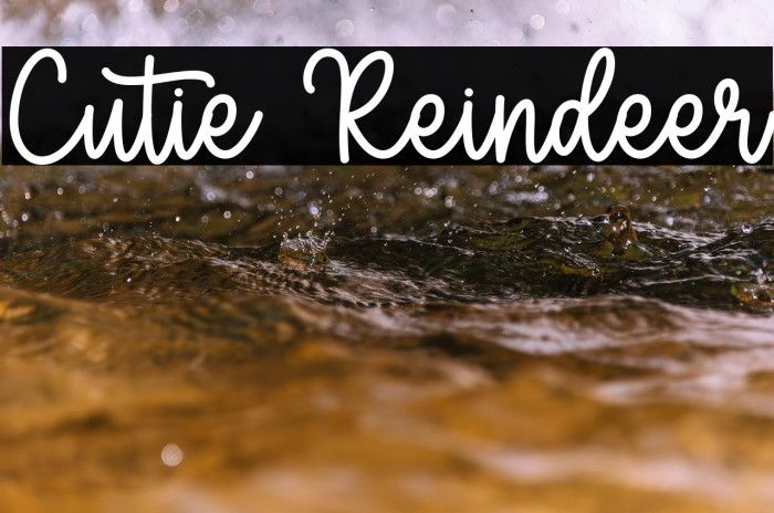 Cutie Reindeer Example 2