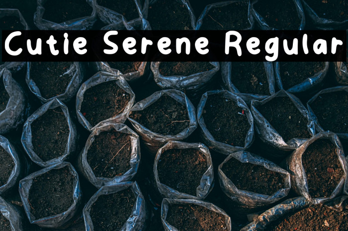 Cutie Serene Regular Example 2