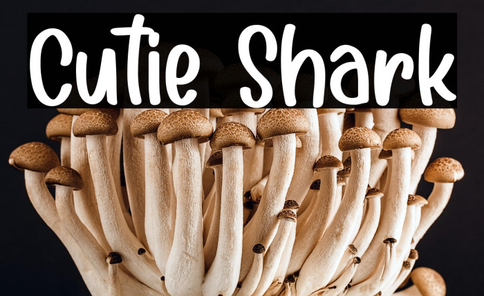 Cutie Shark Example 1